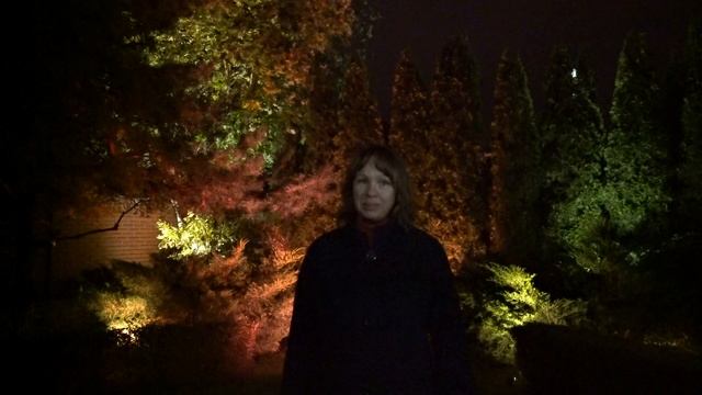 Подсветка сада смотреть онлайн