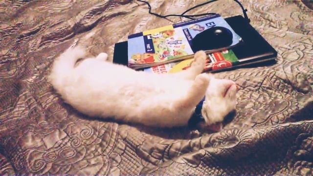 Страшные сны смотреть онлайн