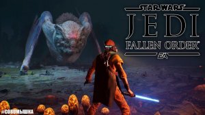 Star Wars Jedi: Fallen Order | Совомышь