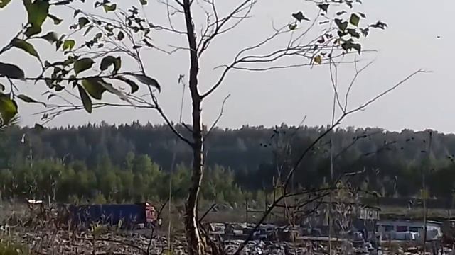 Поход на незаконную свалку в черте города. смотреть онлайн