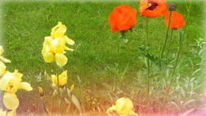 Красивая музыка для души " Нежность" Андрей Обидин.