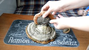 DIY. Поделки из овощей и природных материалов для детского сада (iшколы)