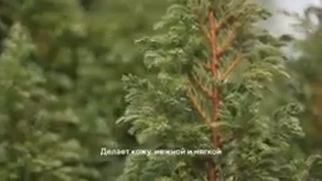 Гель для лица Consly смотреть онлайн