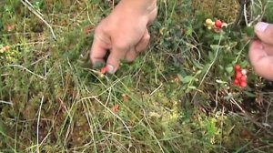 Одиночный поход с ночевкой.Рыбалка.