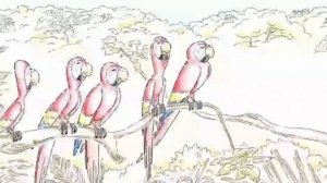 Red Bull Commercial 2023 Parrots Ad Review