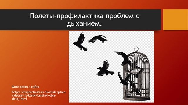 ПРОФИЛАКТИКА ПРОБЛЕМ С ДЫХАНИЕМ У ПТИЦ.БЕСПЛАТНЫЙ ВЕБИНАР.