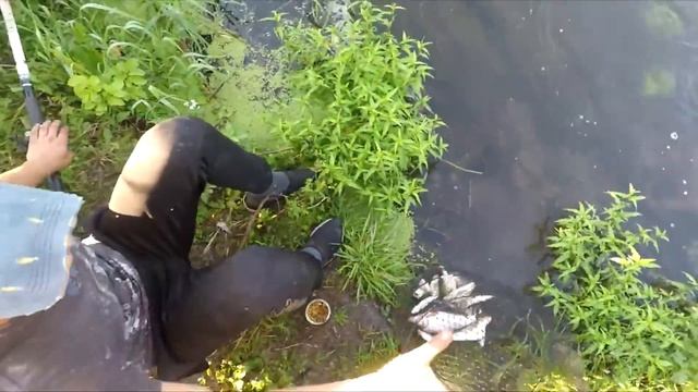 Рыбалка | Рецепт Ухи | Красивая Меча смотреть онлайн