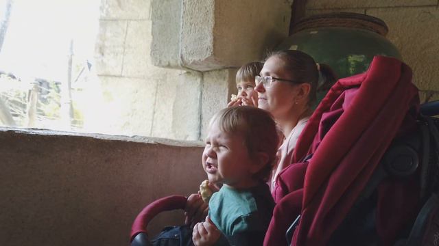 Из Украины в Германию Самый лучший зоопарк Германия смотреть онлайн