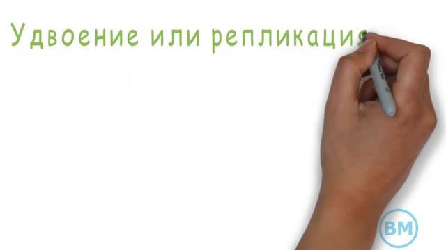Генетическая информация