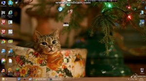 Как установить свой скин через Nova Skin