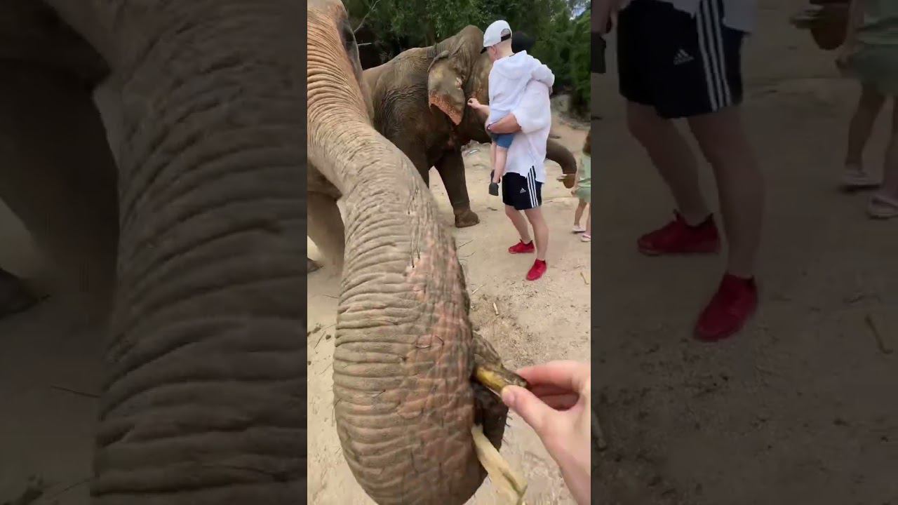 К деньгам может?! смотреть онлайн