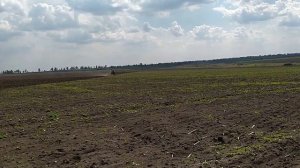 ПЕРВАЯ КУЛЬТИВАЦИЯ !!! ЮМЗ-6-КПС-4.2