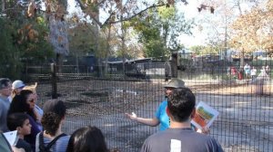 La Brea Tar Pits scientific/historical explanation in Los Angeles