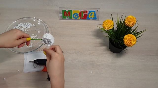 Краспедия
