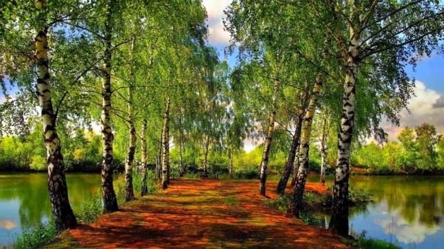 Главная защита от вируса - ваше чистое сознание смотреть онлайн