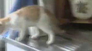 Вот это прикол!