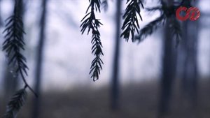 Я ненавижу этот мир