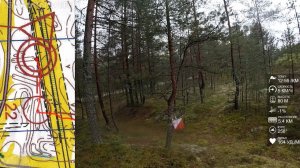 Спортивное ориентирование (headcam orienteering) - Новгородский Меридиан, Луга - Партизанская Слава!