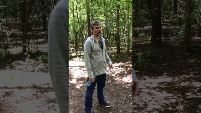 О Целостности, У-Син, Прежнем и Позднем Небе и Шагах. Часть 1