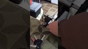 Вскрытие личинки замка Аллюр F 80-5K CP серия "Классика".