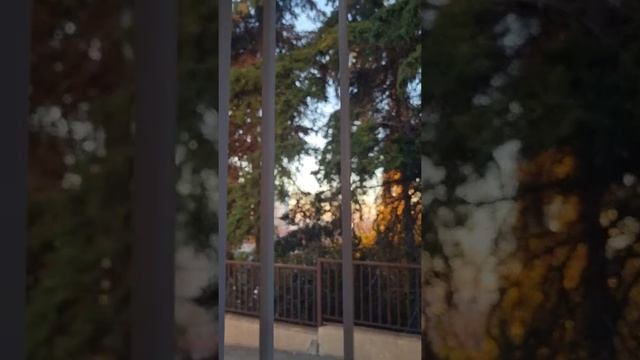 квартира в Сочи с видом на море и ремонтом дёшево!!! 8(919)444-66-55 законная недвижимость Сочи смотреть онлайн