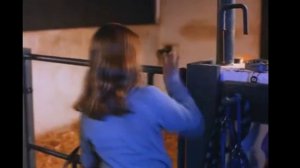 пони Коротышка