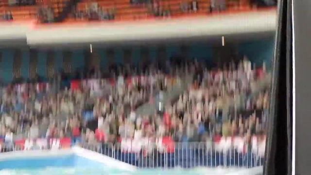 Обрушение бассейна в олимпийском смотреть онлайн