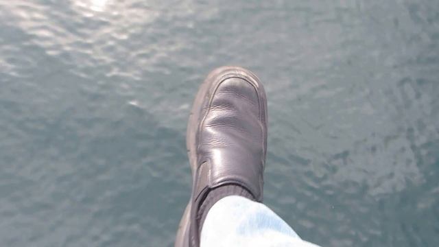 Наблюдение за китами в открытом океане смотреть онлайн