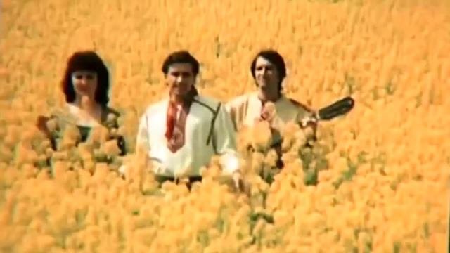 Назарій Яремчук - Гай, зелений гай.HD