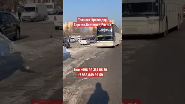 Ташкент Краснодар автобус ,￼Краснодар Ташкент автобус, Ташкент Ростов автобус