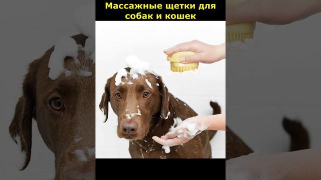 Массажные щетки для собак и кошек #shorts