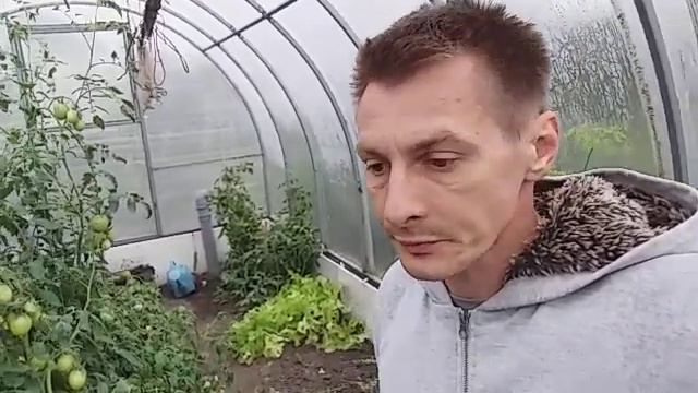 Рассказ об эффективности теплицы с продувкой грунта смотреть онлайн