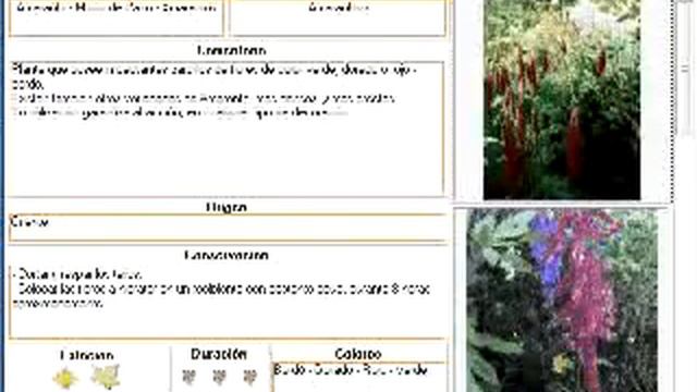 Catálogo Floral Mónica Duch смотреть онлайн