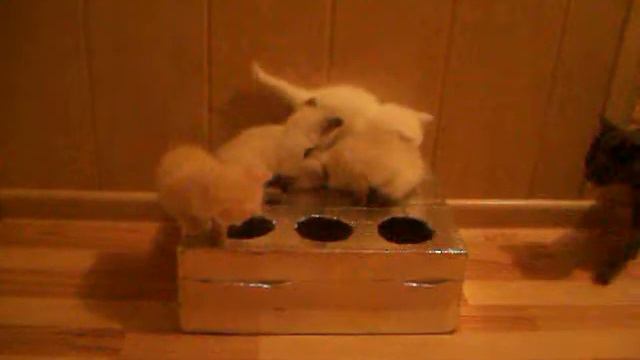 отдам в хорошие руки смотреть онлайн