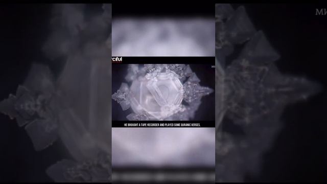 Для тех кто не знает, что такое вода «Зам Зам» кратко: смотреть онлайн