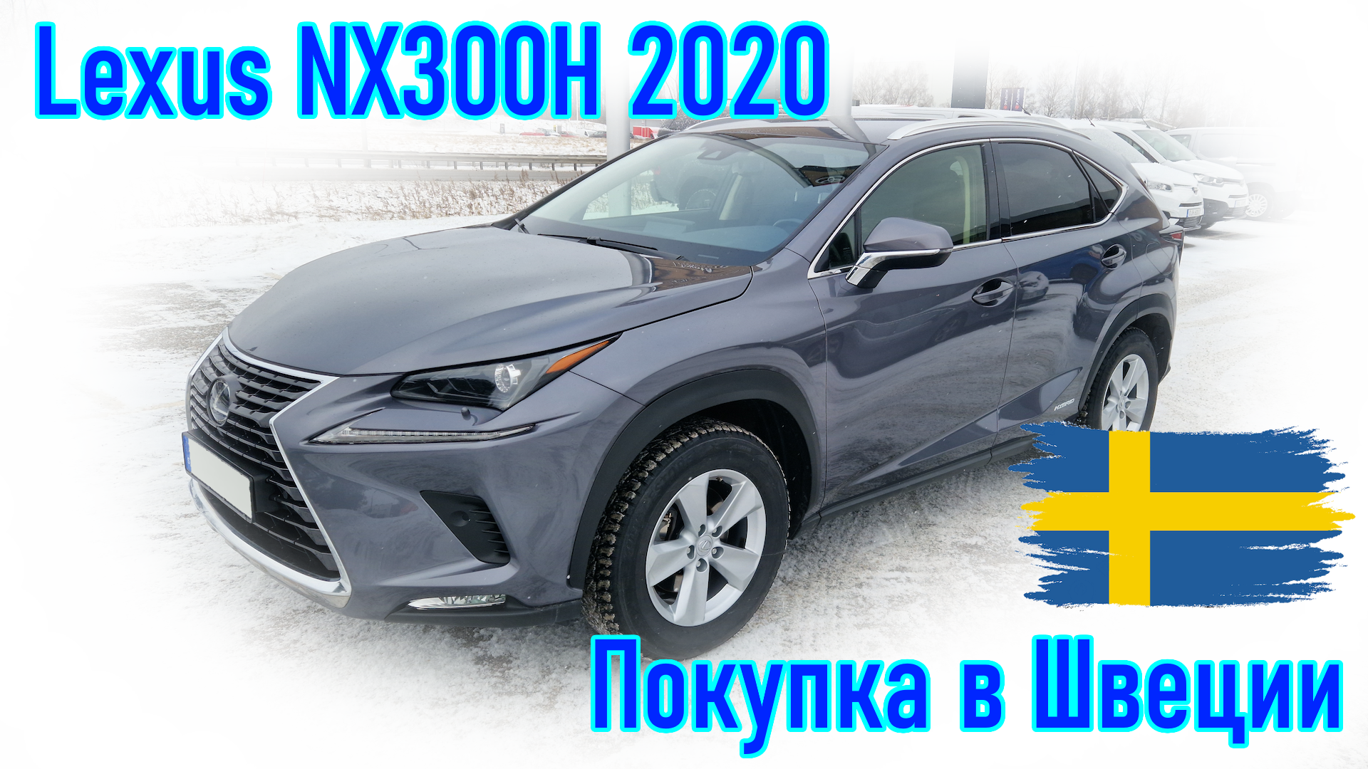 Покупка и пригон автомобиля из Европы (Швеции). Lexus NX300H 2020 г.в.