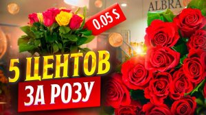 Стоит ли брать цветы на плантации Albra Roses? | Эквадор | Цветы оптом