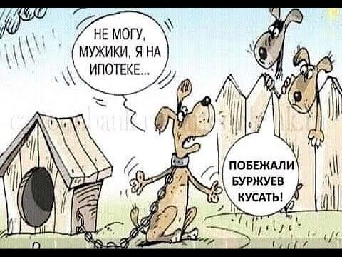 Про злую веру и лютую зависимость. смотреть онлайн