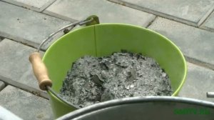 Клубника / Земляника садовая / Как правильно посадить садовую землянику (клубнику)?