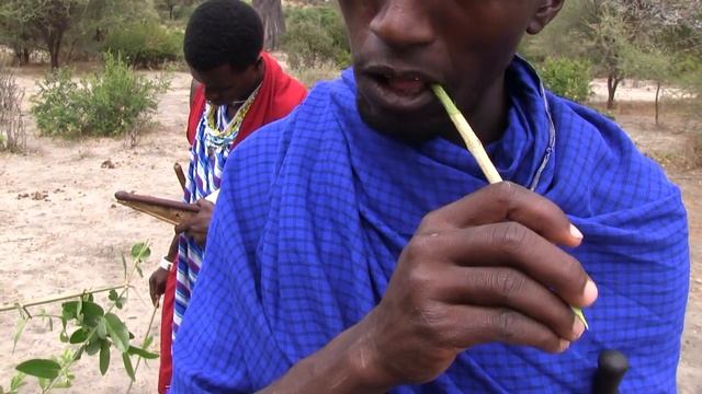 Почистить зубы смотреть онлайн