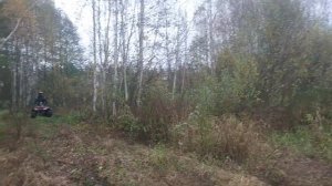 Honda trx 680 ходом в болото