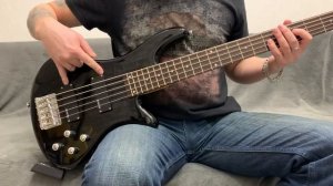 Schecter Stiletto Diamond Series Deluxe 5 (БЕЗ РАЗГОВОРОВ)