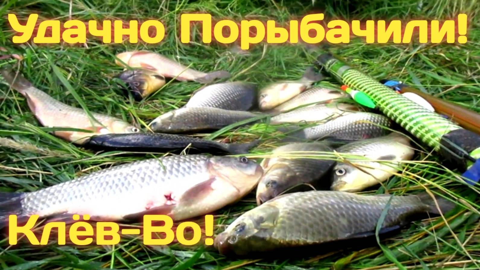 ОТЛИЧНЫЙ КЛЁВЫЙ ДЕНЬ НА КАРАСЯ В АВГУСТЕ!