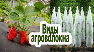 Как выбрать спанбонд для грядки? Все об укрывных материалах.