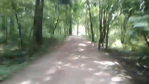 Опять заборы | река Сетунь