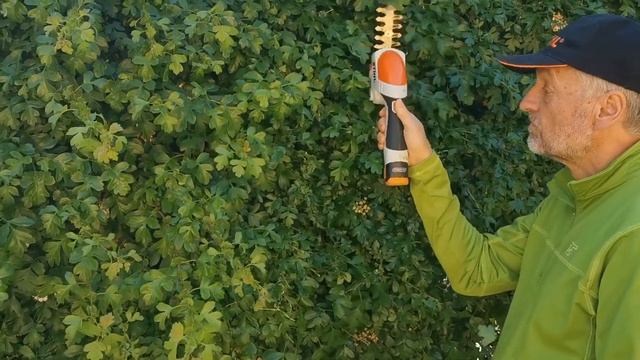 STIHL HSA 26 in use смотреть онлайн