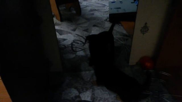 Арчи и зеркало 😂 смотреть онлайн