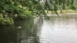 Замок Сфорца! Парк Семпионе Милан Италия!