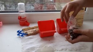 КАК УХАЖИВАТЬ ЗА ПОПУГАЕМ  (обучающие видео)