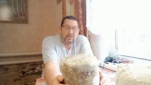 Ошибки при автоклавировании зерна для мицелия